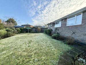 Photo 2- click for photo gallery